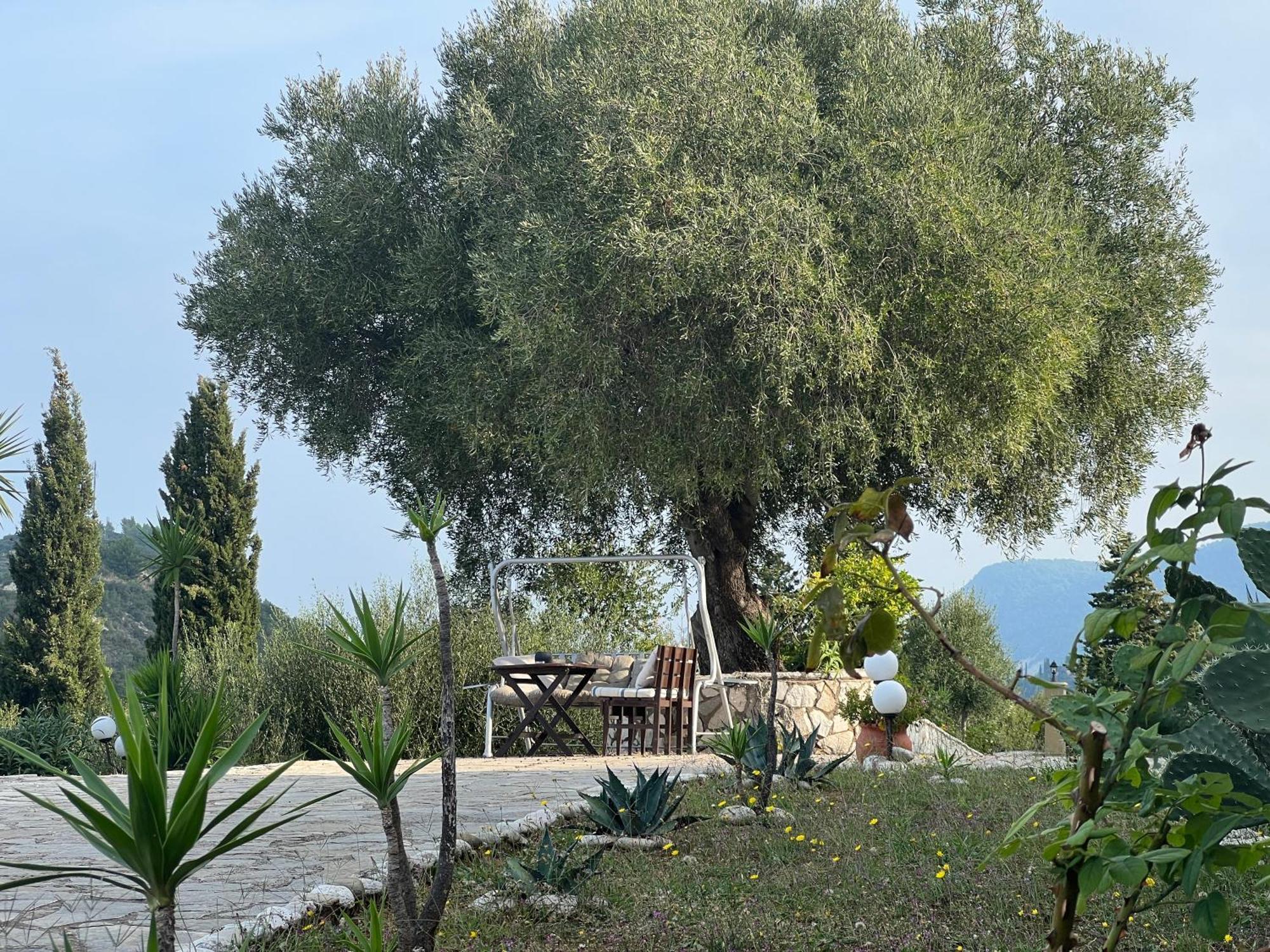 فندق La Casa D' Irene (Adults Only) Áyios Nikítas المظهر الخارجي الصورة